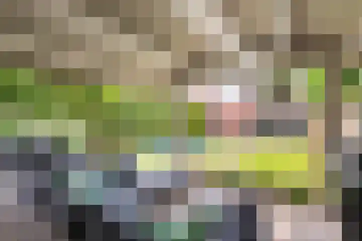 Kanteel 3 Dreumel thumbnail 38