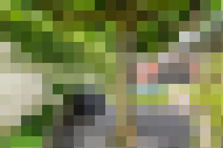 Kanteel 3 Dreumel thumbnail 39