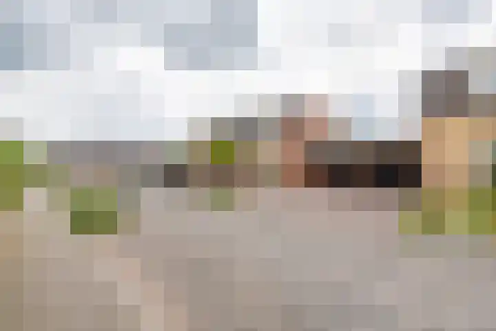 Kanteel 3 Dreumel thumbnail 41
