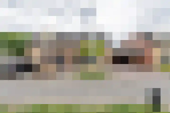 Kanteel 3 Dreumel thumbnail 42