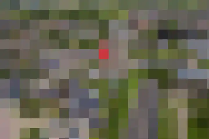 Kanteel 3 Dreumel thumbnail 44