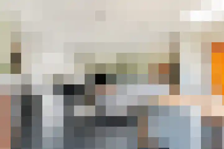 Kanteel 3 Dreumel thumbnail 9