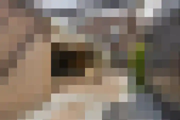 Kanteel 32 De Goorn thumbnail 28