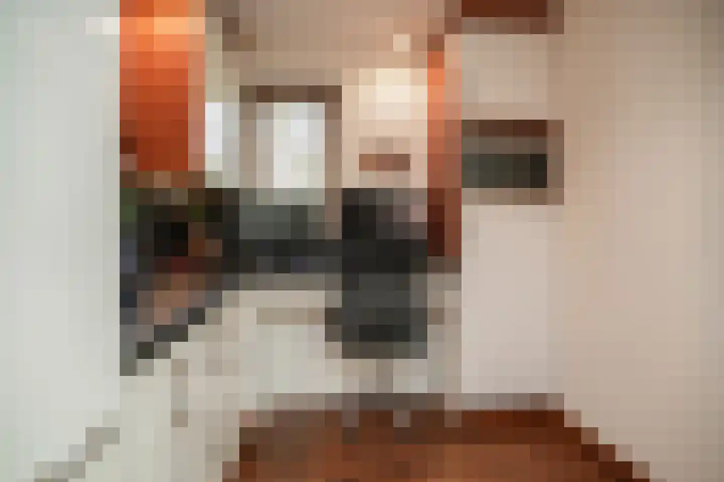 Kanteel 40 Dreumel thumbnail 11