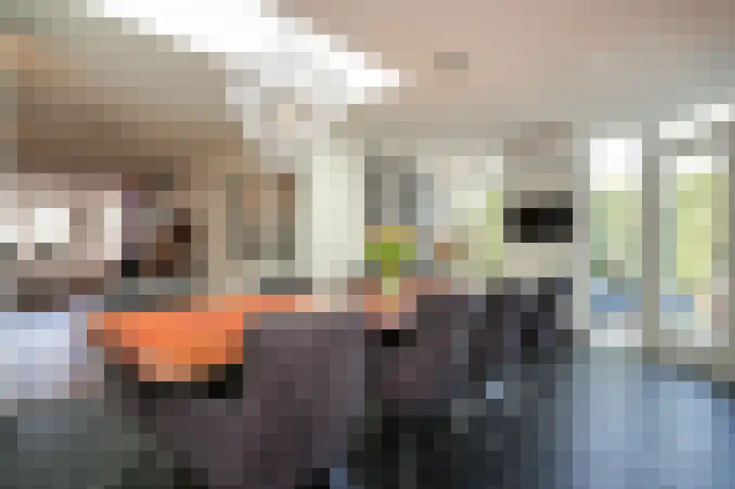 Kanteel 40 Dreumel thumbnail 15
