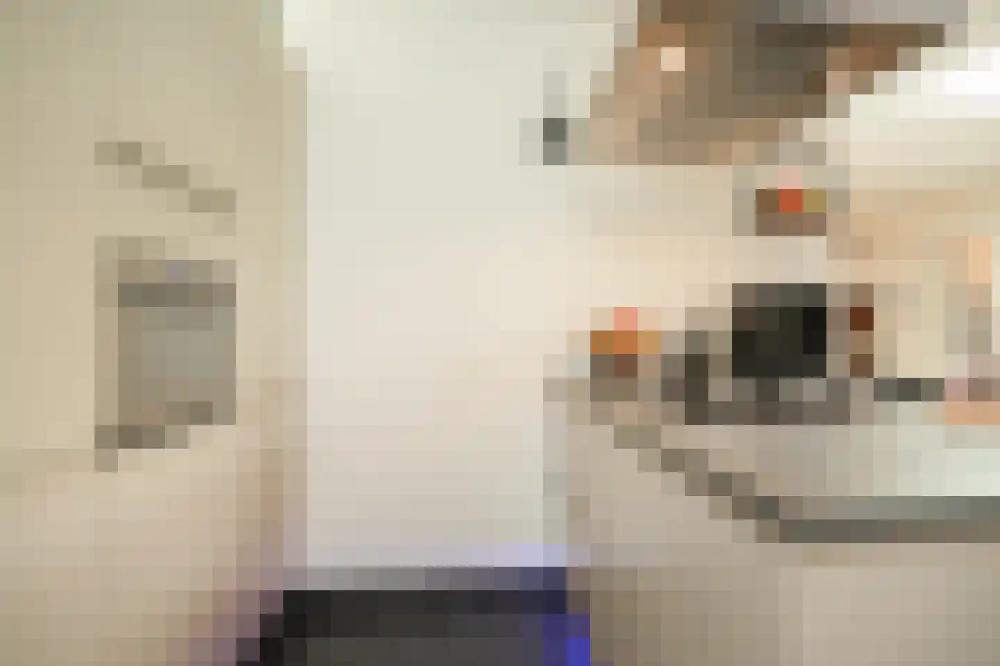 Kanteel 40 Dreumel thumbnail 18