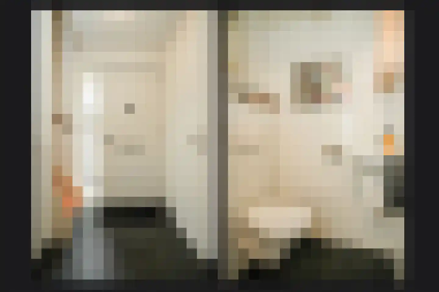 Kanteel 40 Dreumel thumbnail 19