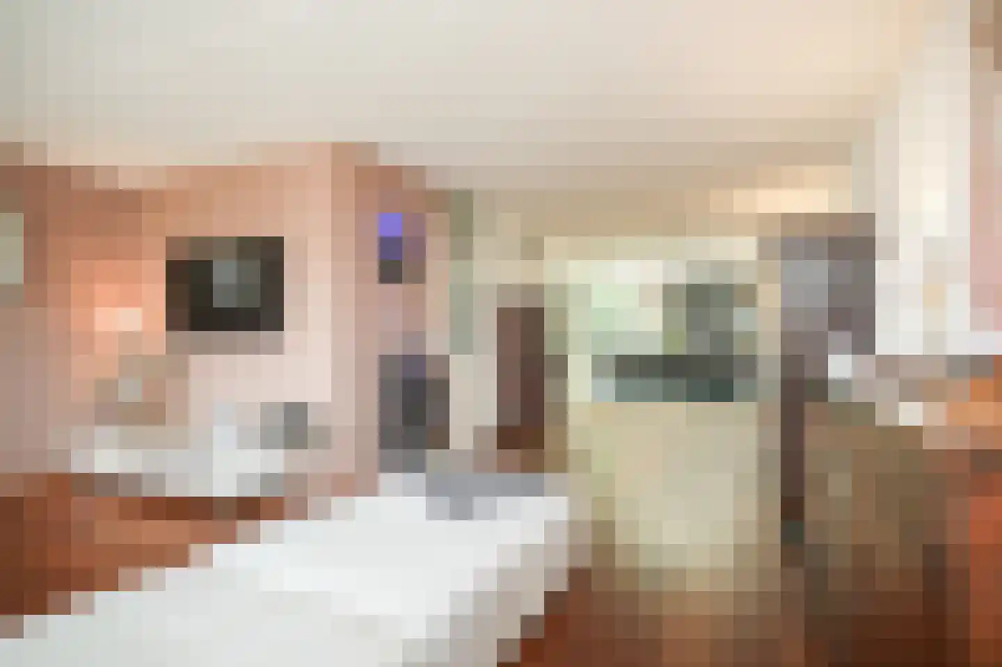 Kanteel 40 Dreumel foto 2