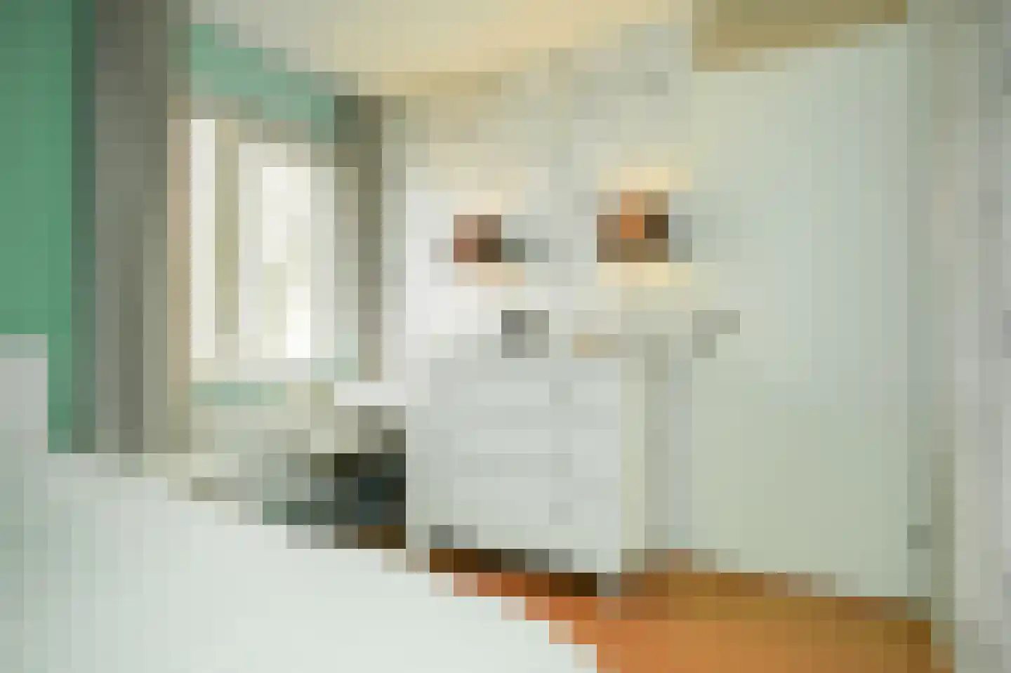Kanteel 40 Dreumel thumbnail 26