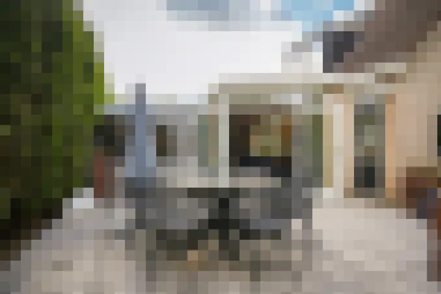 Kanteel 40 Dreumel thumbnail 38