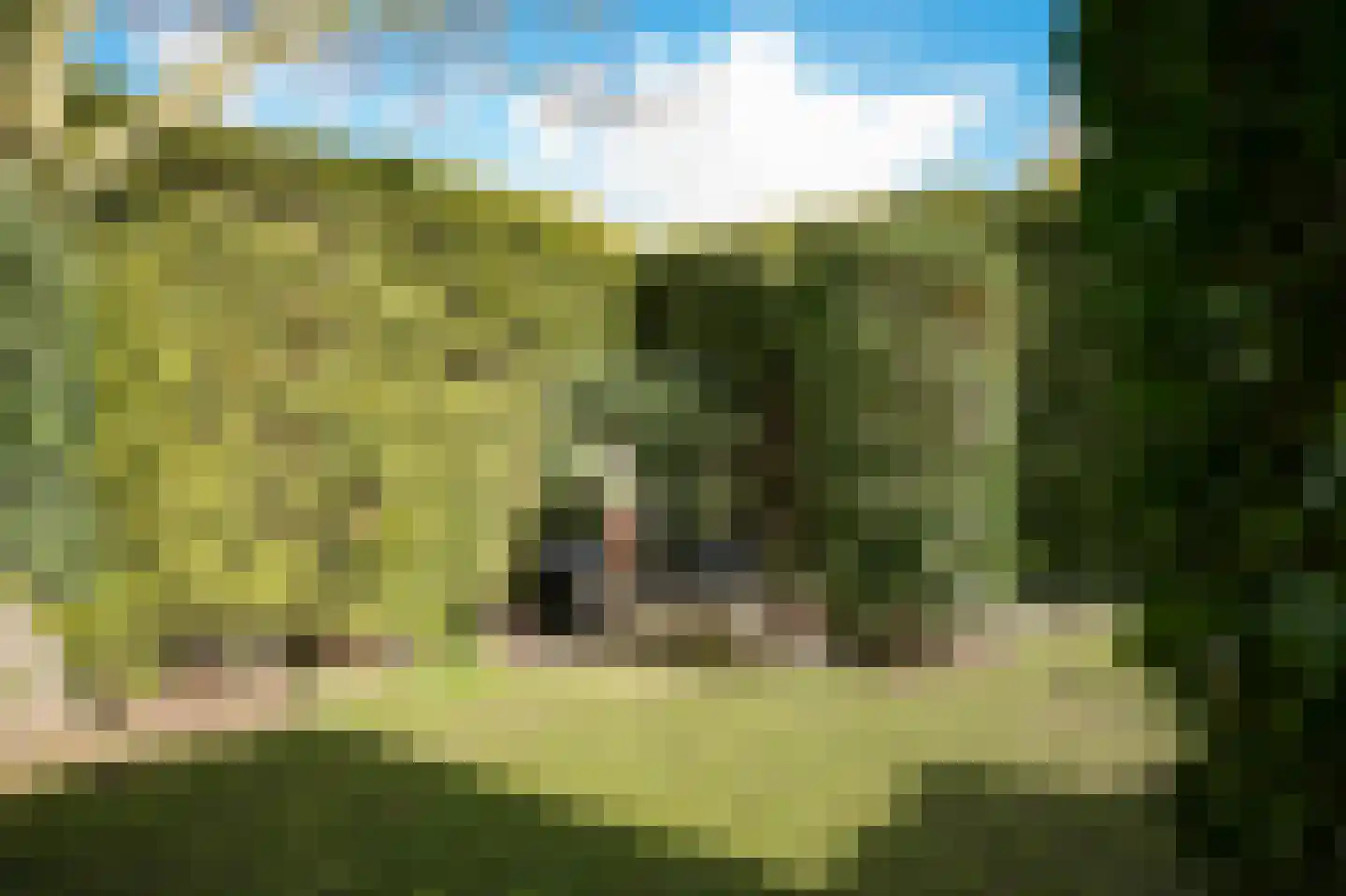 Kanteel 40 Dreumel thumbnail 39