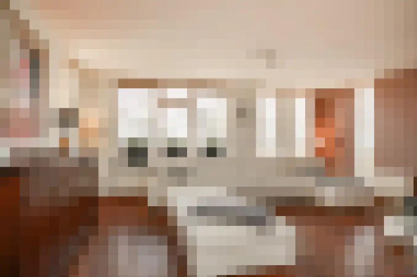 Kanteel 40 Dreumel thumbnail 4