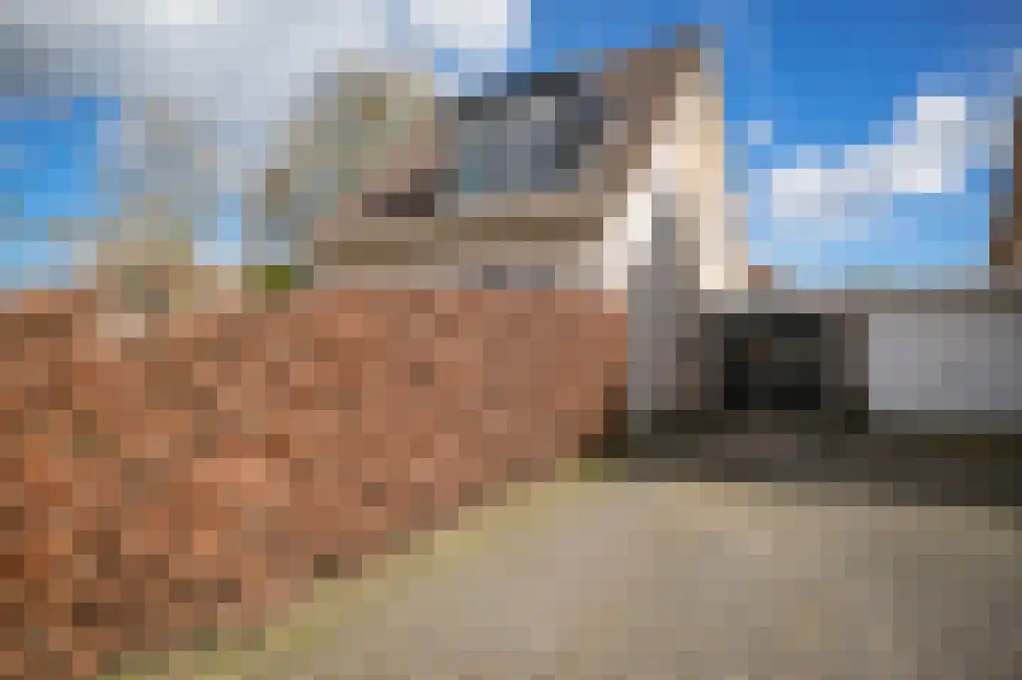 Kanteel 40 Dreumel thumbnail 42