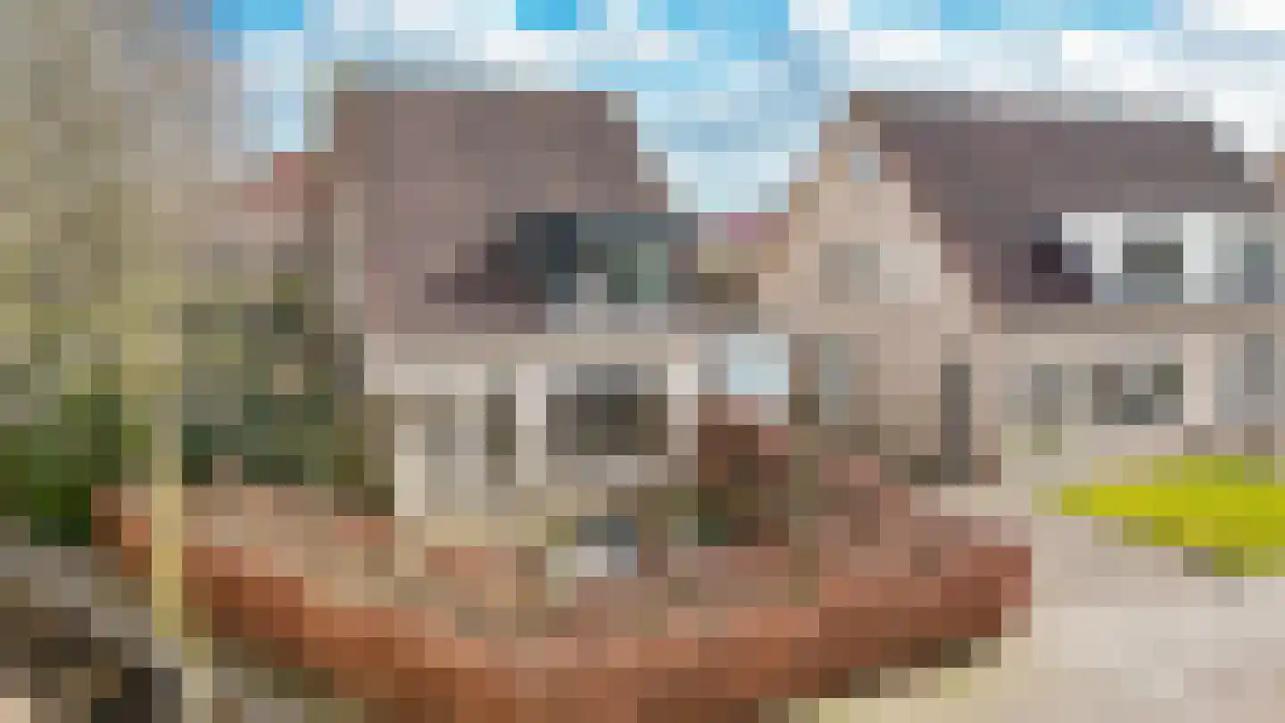 Kanteel 40 Dreumel thumbnail 46
