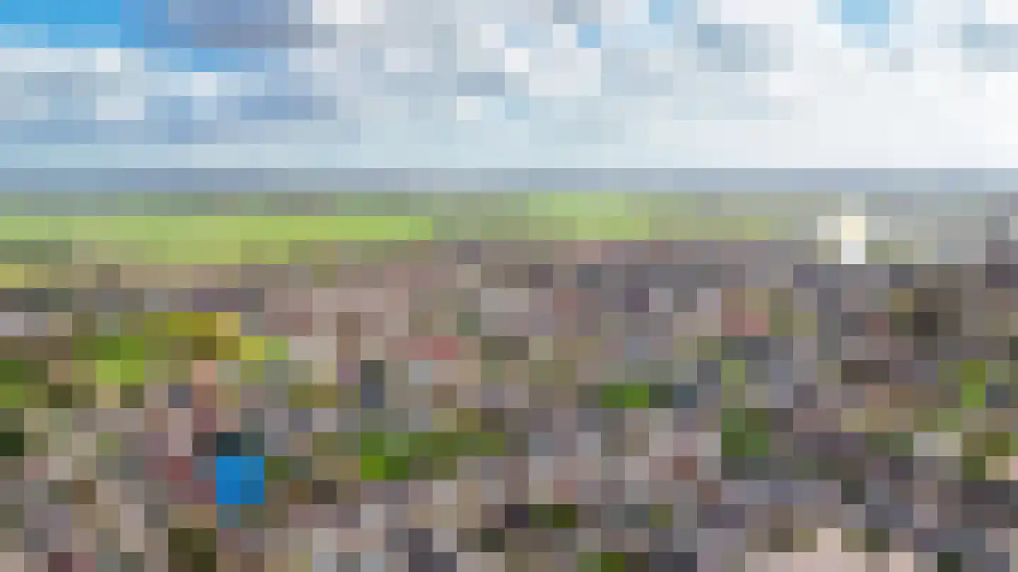 Kanteel 40 Dreumel thumbnail 52
