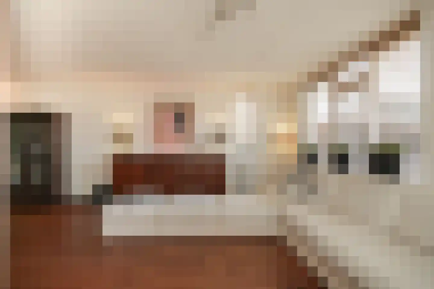 Kanteel 40 Dreumel thumbnail 6