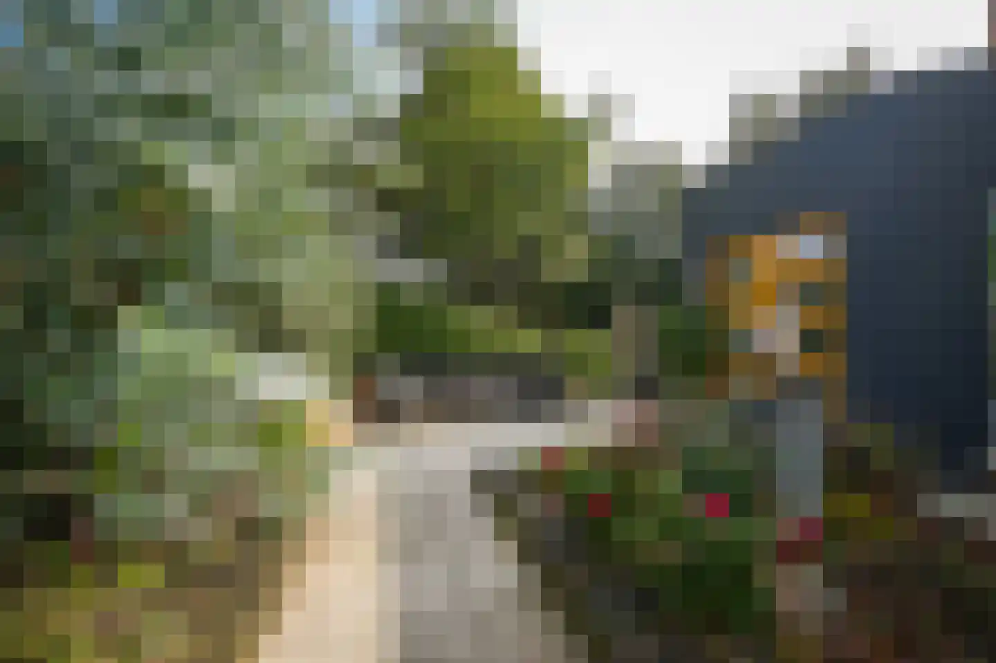 Kanteel 42 Dreumel thumbnail 59