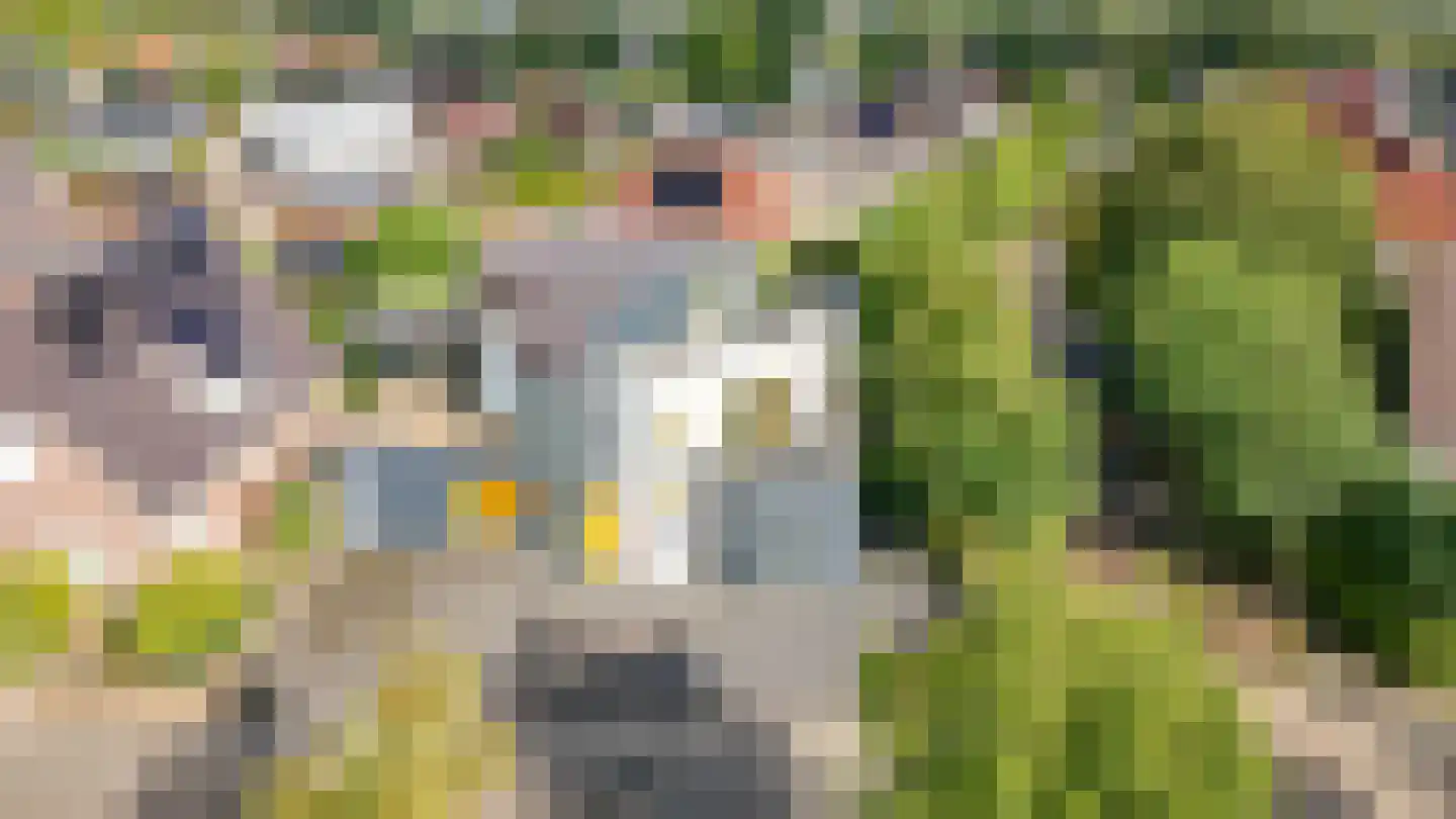 Kanteel 42 Dreumel thumbnail 67