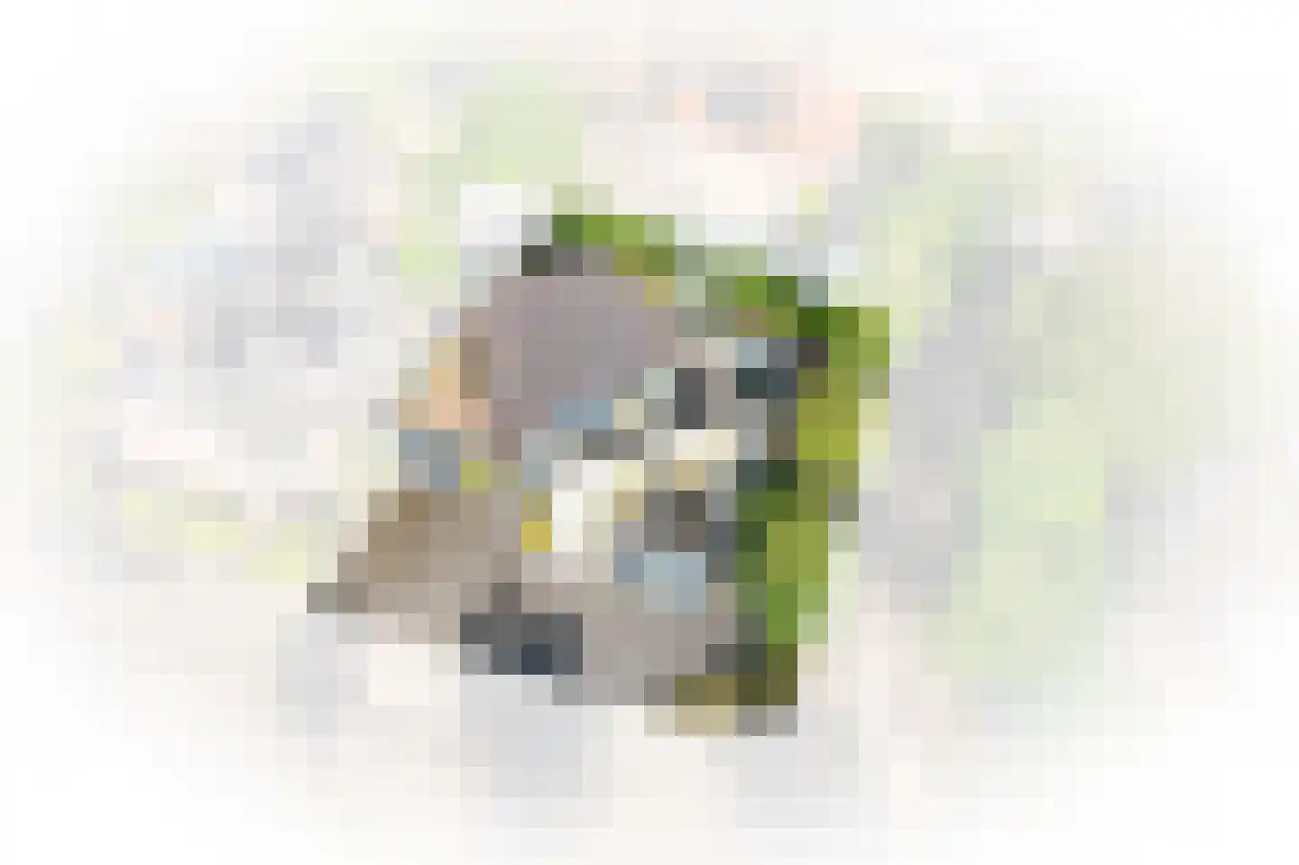 Kanteel 42 Dreumel thumbnail 68