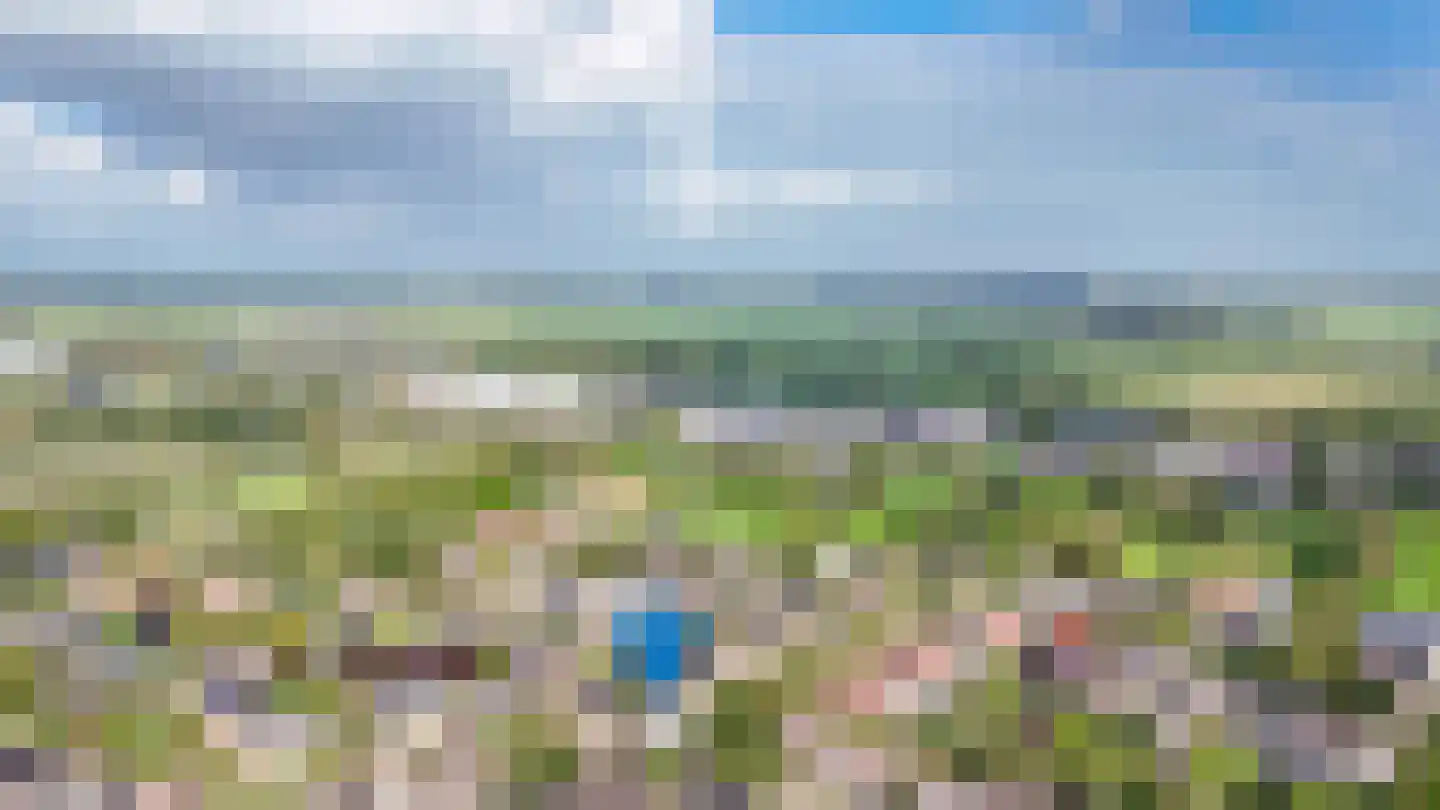 Kanteel 42 Dreumel thumbnail 71
