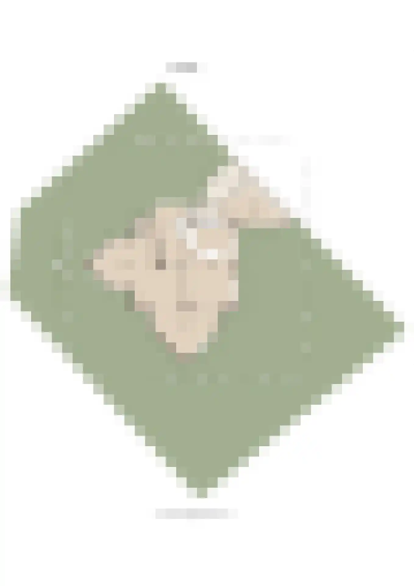 Kanteel 42 Dreumel thumbnail 75