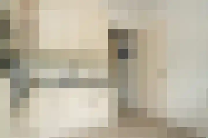 Kanteel 6 Dreumel thumbnail 11