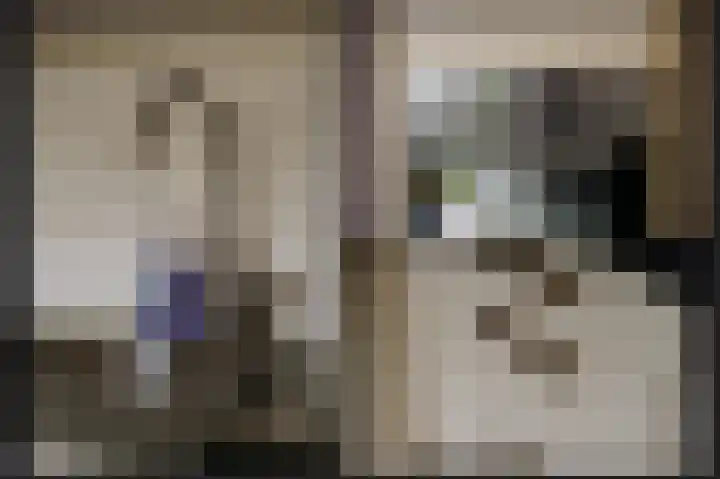 Kanteel 6 Dreumel thumbnail 12