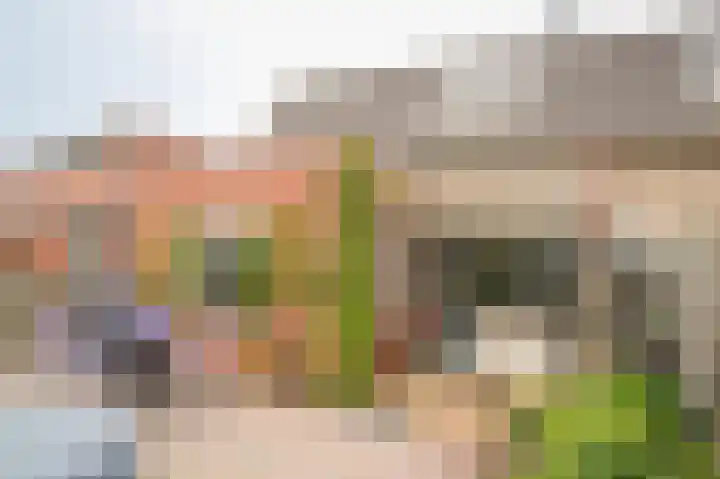 Kanteel 6 Dreumel foto 2