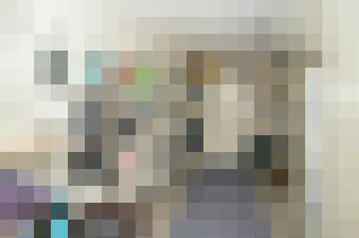 Kanteel 6 Dreumel thumbnail 25