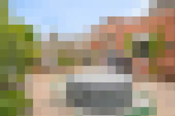 Kanteel 6 Dreumel foto 3