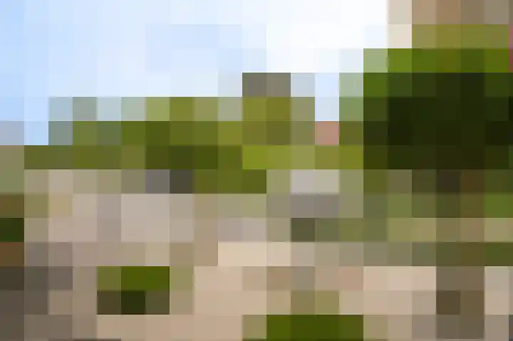 Kanteel 6 Dreumel thumbnail 34