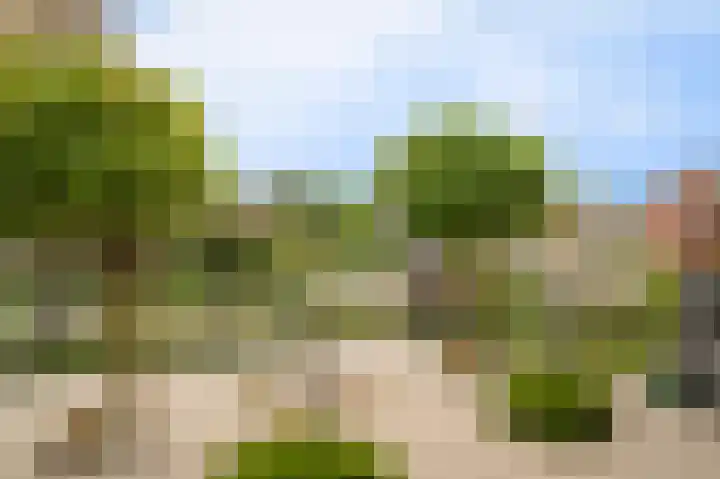 Kanteel 6 Dreumel thumbnail 36