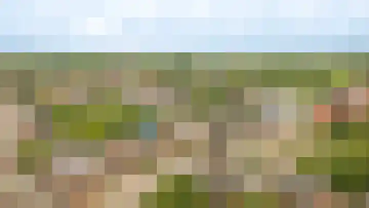 Kanteel 6 Dreumel thumbnail 41