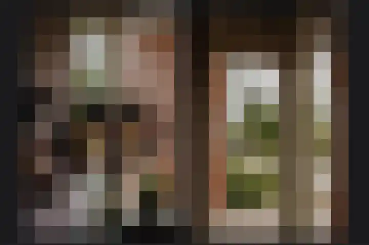 Kanteel 6 Dreumel thumbnail 8