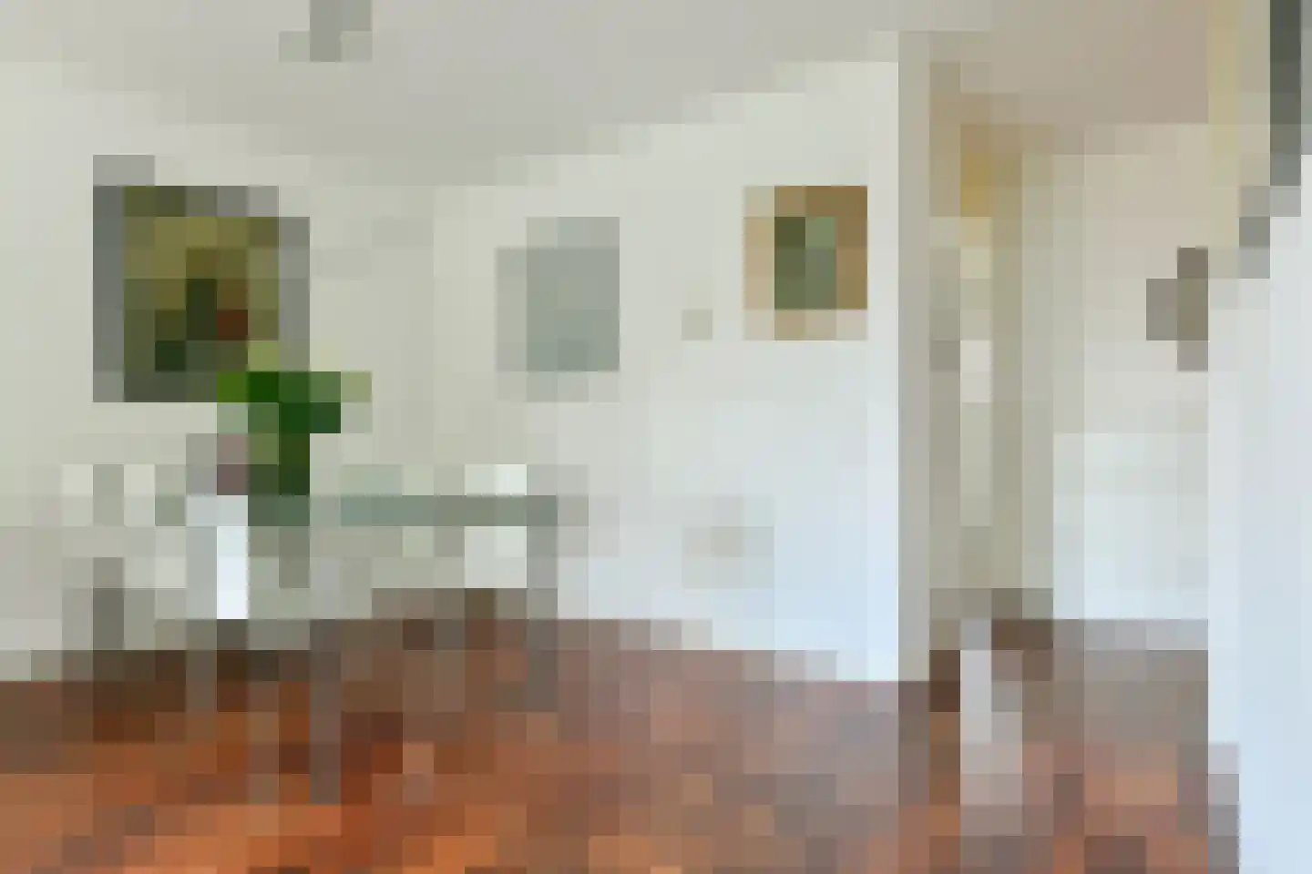 Kanteel 76 Amsterdam thumbnail 10