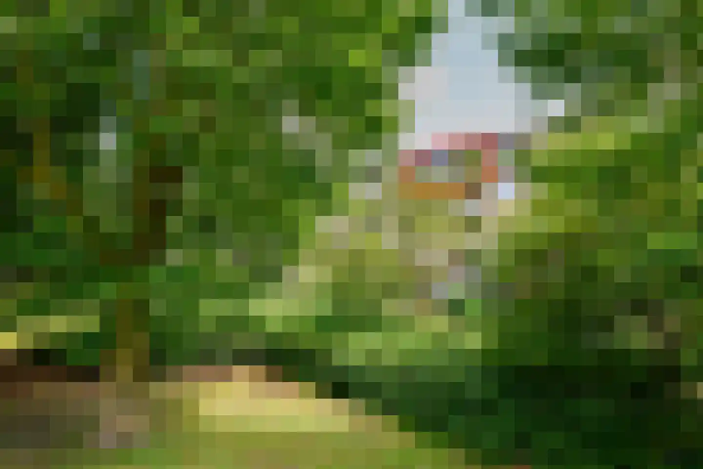Kanteel 76 Amsterdam thumbnail 20