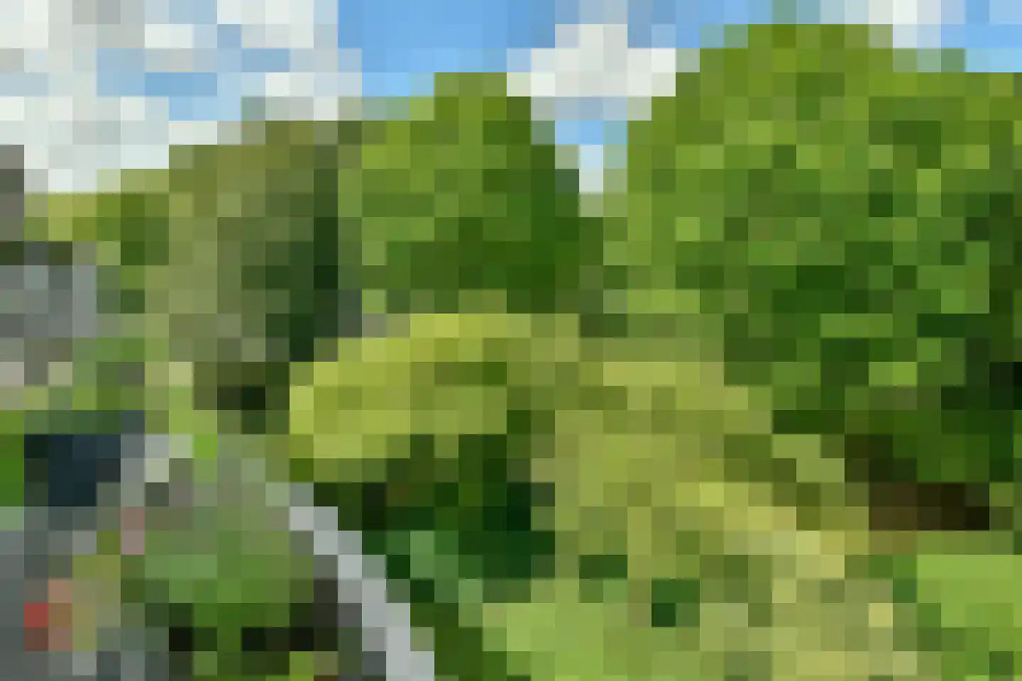 Kanteel 76 Amsterdam thumbnail 22