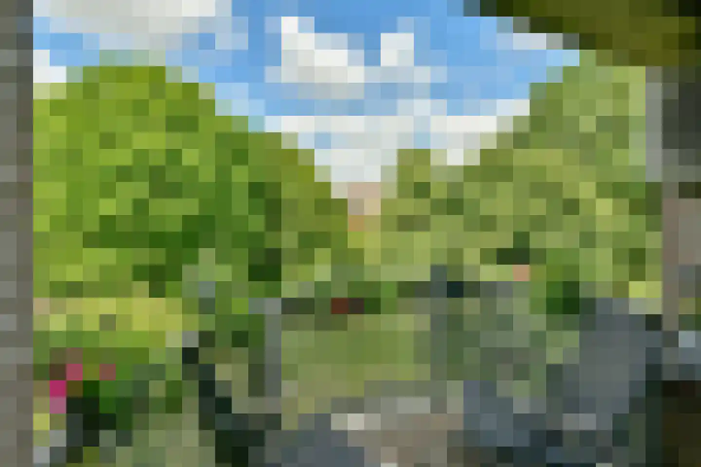 Kanteel 76 Amsterdam thumbnail 6