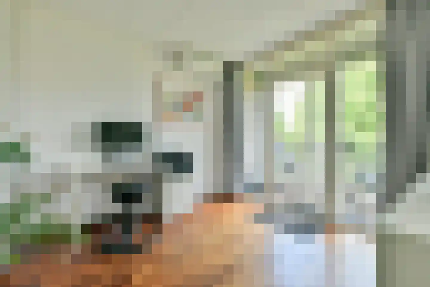 Kanteel 76 Amsterdam thumbnail 9