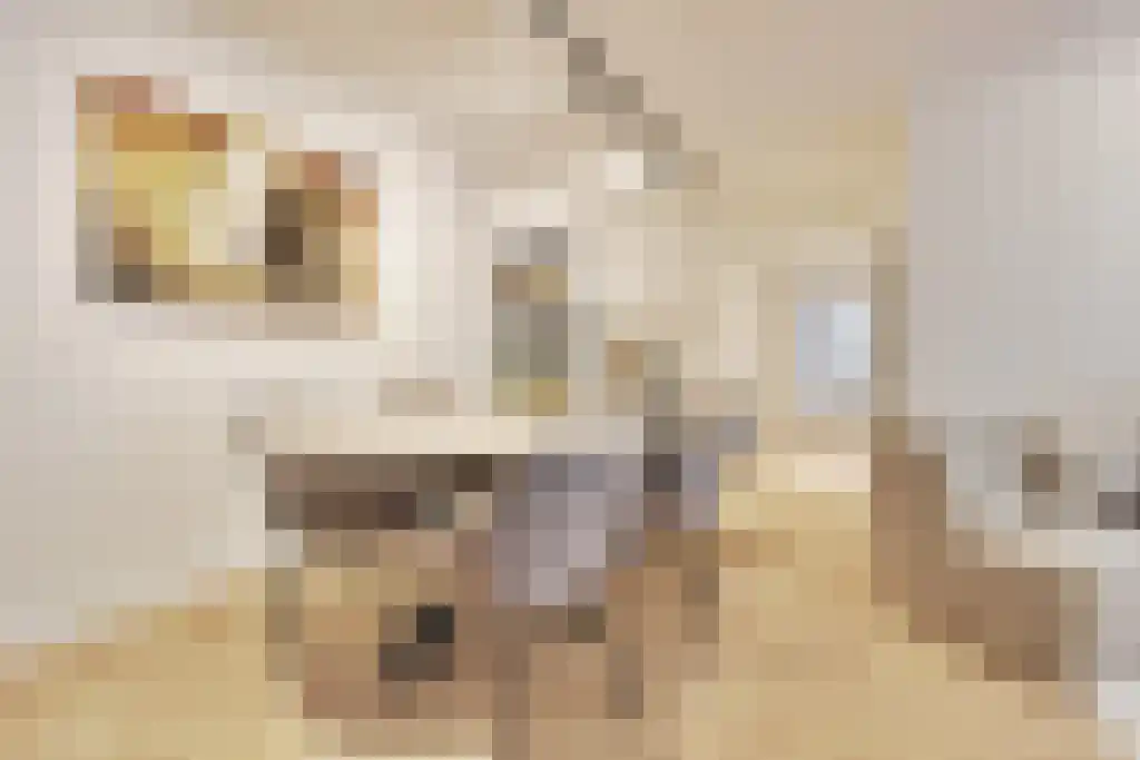 Kanteel 78 Amsterdam thumbnail 4
