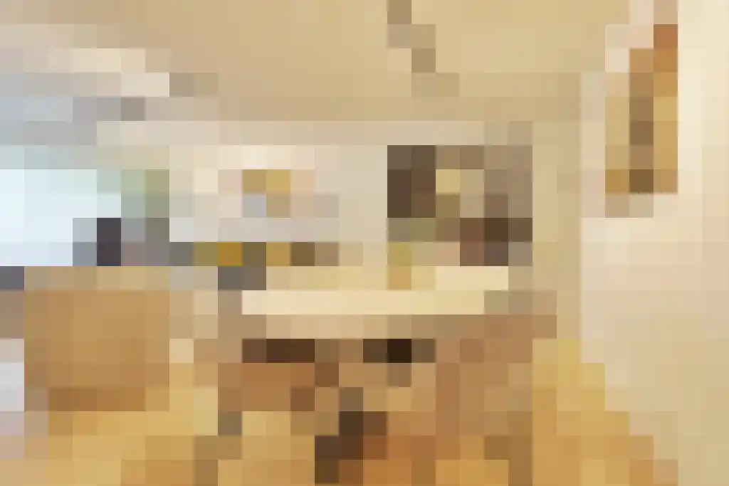 Kanteel 78 Amsterdam thumbnail 5