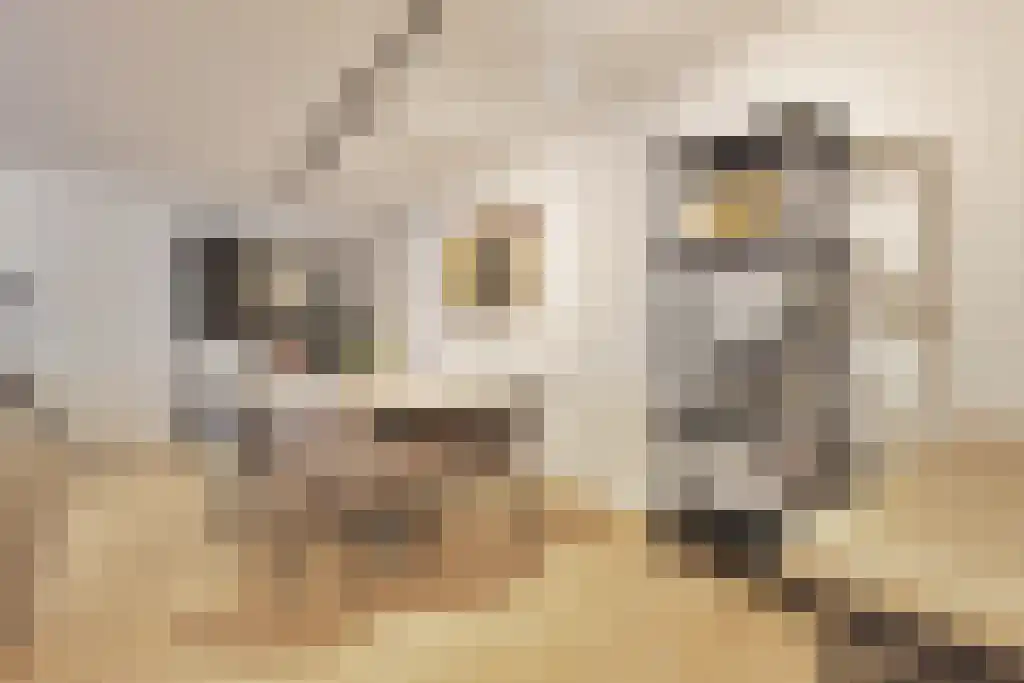 Kanteel 78 Amsterdam thumbnail 6