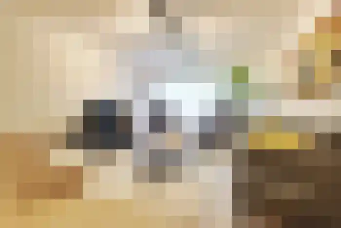 Kanteel 78 Amsterdam thumbnail 7