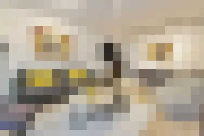 Kanteel 78 Amsterdam thumbnail 9