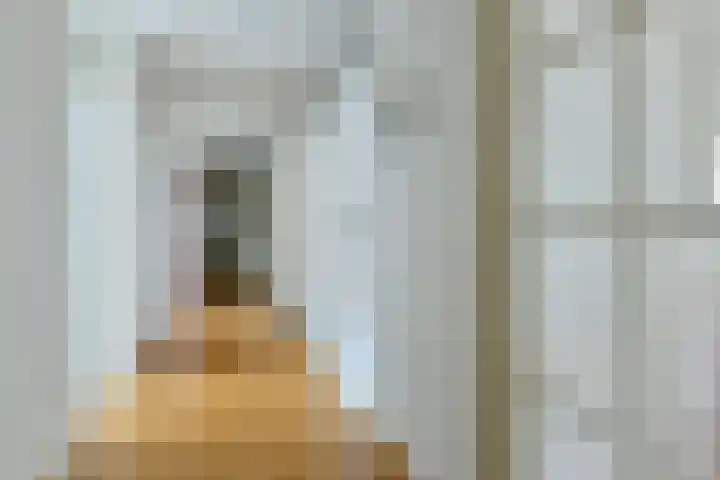 Kanteel 8 Amsterdam thumbnail 11