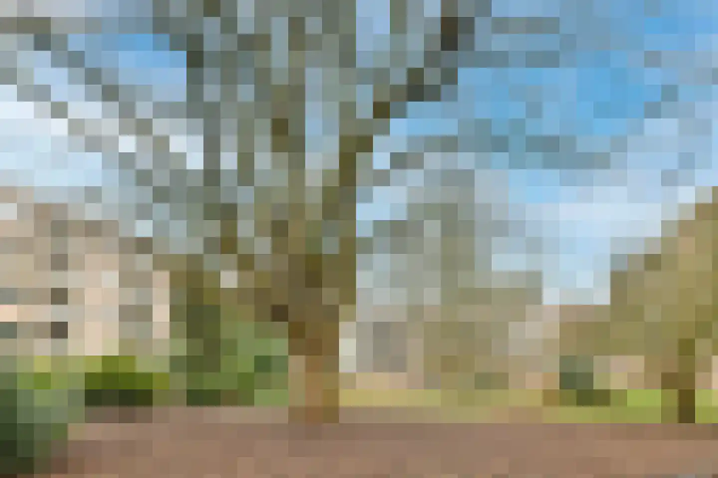 Kanteel 8 Amsterdam thumbnail 23