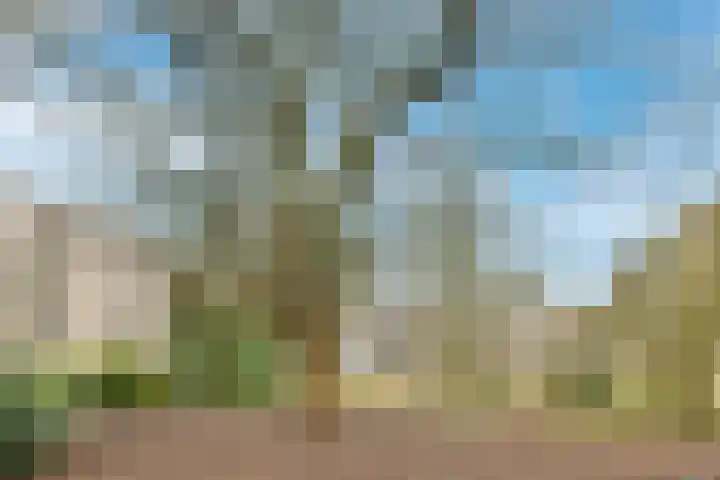 Kanteel 8 Amsterdam thumbnail 23