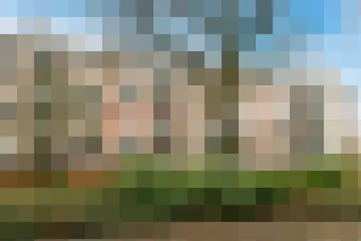 Kanteel 8 Amsterdam thumbnail 24