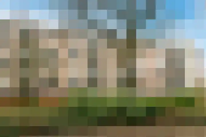 Kanteel 8 Amsterdam thumbnail 25