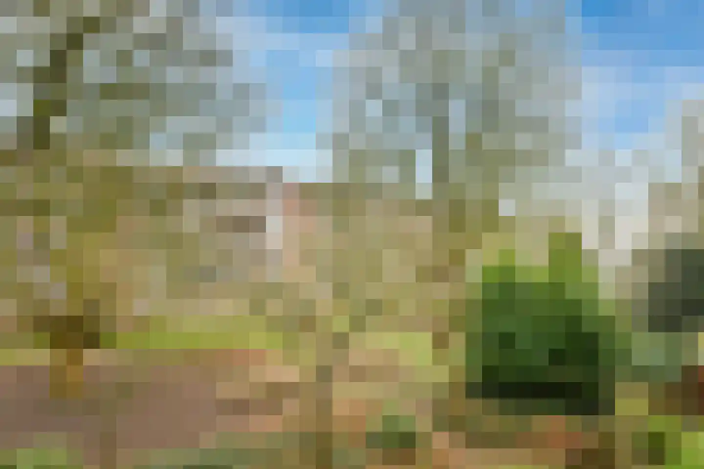 Kanteel 8 Amsterdam thumbnail 5
